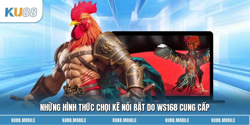 Những hình thức chọi kê nổi bật do WS168 Đá Gà cung cấp