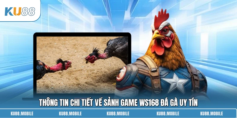 Thông tin chi tiết về sảnh game WS168 Đá Gà uy tín