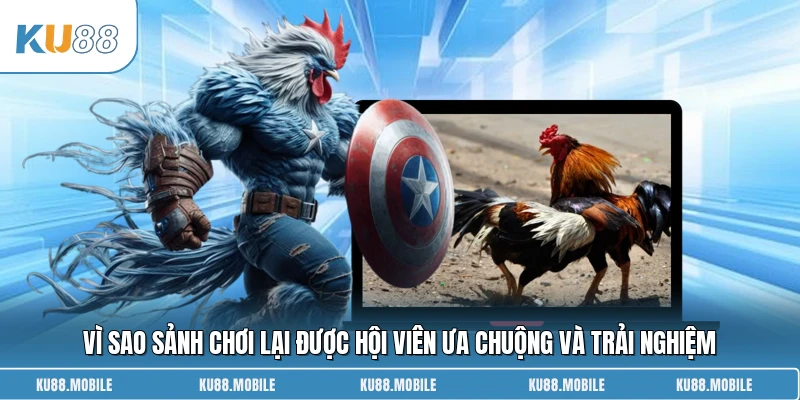 Vì sao sảnh chơi lại được hội viên ưa chuộng và trải nghiệm